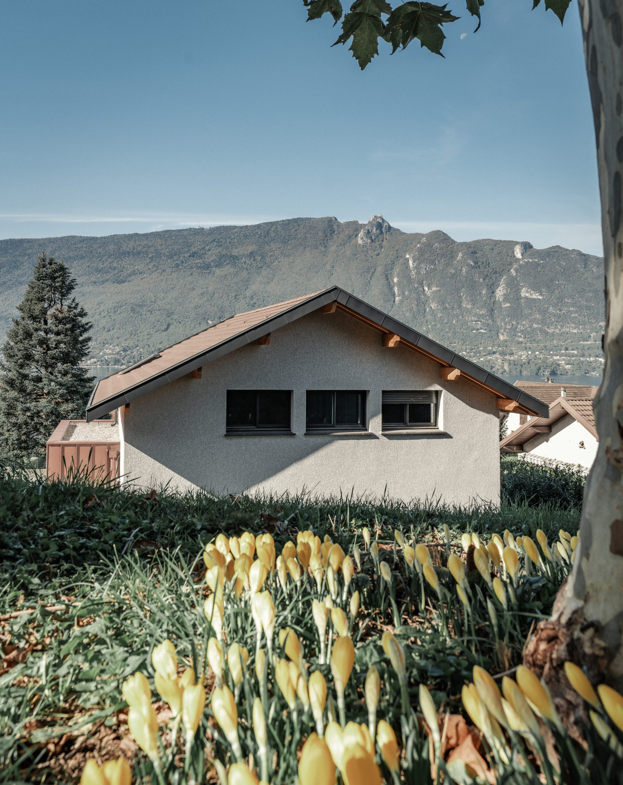 Vue sur les montagne depuis une maison contemporaine dont Maisons Alpes Savoie a fait l'extension. Une rénovation moderne et audacieuse.